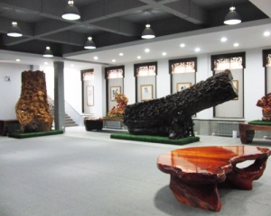庄河艺术展示中心